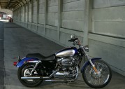 Harley-Davidson XL1200 C Sportster